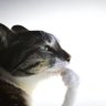 yo profil fotoğrafı