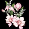 hayatyorgunuuu's profile picture