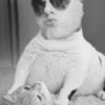 Profilbild von Nate clay 99