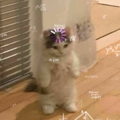 Ran's profile picture