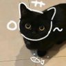 Yoyo profil fotoğrafı
