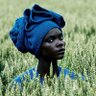 Фото профиля Joris Ryska