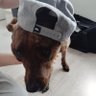 Micka profil fotoğrafı