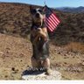 Gracie profil fotoğrafı