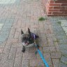 Bella's profile picture