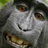 J profil fotoğrafı