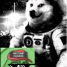 Emman D.'s profile picture