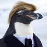 skipper_pen's profile picture