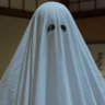 ぺっすん㌋ 的头像