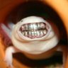 Profilbild von NotSure
