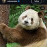 LiiMiiTs OG profil fotoğrafı