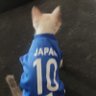 Profilbild von Alguém que vive numa ditadura