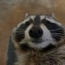 Profilbild von drrwn