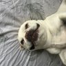 hjkl profil fotoğrafı