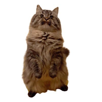 tirol1012's profile picture