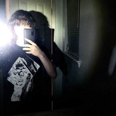 🦝's profile picture