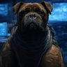 𝕏 WatchDog™ 的头像