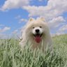 SNOOK :) profil fotoğrafı