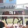 スポーツ・マンガ大好き! 的头像