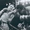 BOxINGM profil fotoğrafı