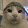 Profilbild von celgyn