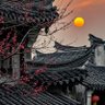 橙乡信丰(互fo互赞必回) profil fotoğrafı