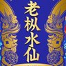 老枞 的头像