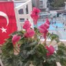 Ahmet Yilmazyerli 的头像