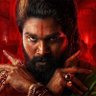 Pushpa's profile picture