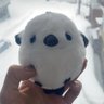 ちゃんれー's profile picture