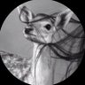Profilbild von الوضيـحِـي ₅₁₁🦌