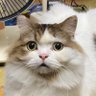 Фото профиля 千田晴夫