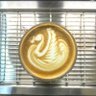Cream 的头像