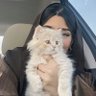 Profilbild von أصاالـــهه عـــبده