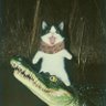 JoeJoe's profile picture