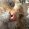 justwastingtime profil fotoğrafı
