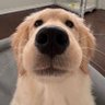 austin profil fotoğrafı