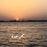بحر جده ( ابو فيصل )'s profile picture