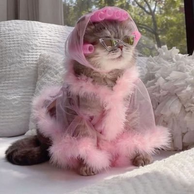 anna's profile picture