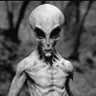 Profilbild von Extra terrestre 👽