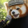 è©©çµµç ð's profile picture