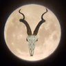 Antilope Malo 100% Follow Back's profile picture
