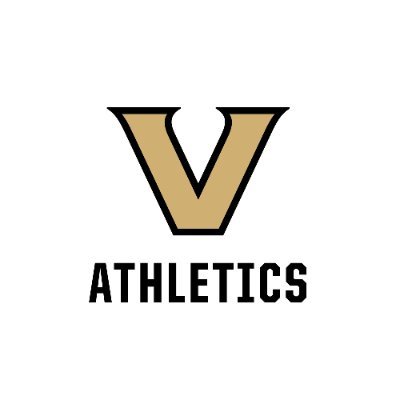 vucommodores's profile picture
