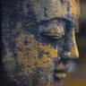 Plato profil fotoğrafı