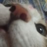Profilbild von โโโ ๐๐โฒ โโโ