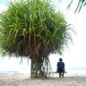 trees's profile picture