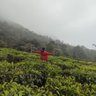 pandaÆA.I profil fotoğrafı