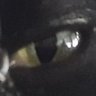 Clawdius's profile picture