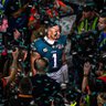 Go Birds's profile picture