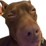 Profilbild von Steveeeeeeeeeeee